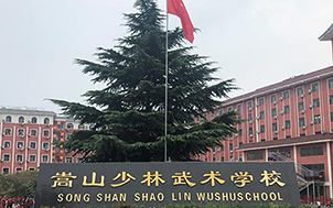 正规学校